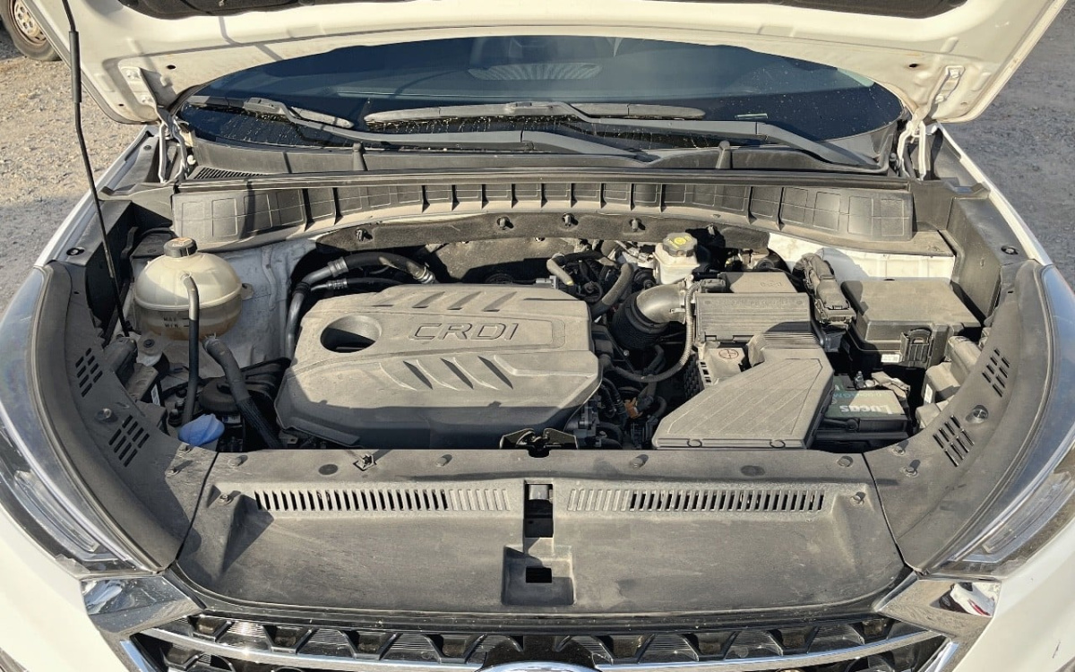 50ae652a-33cc-4e9c-a3c7-fa12aafa5a27.jpg