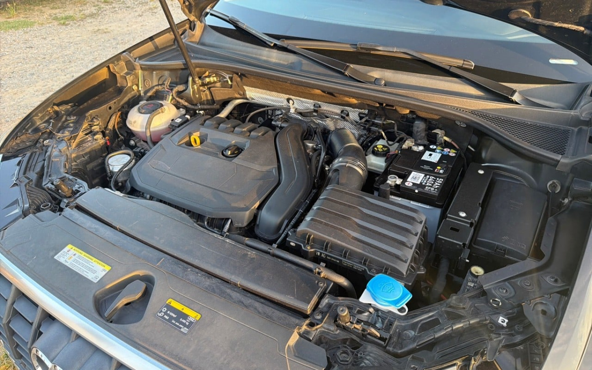c7afc391-1e63-475e-89bf-0bbcab3e1f33.jpg