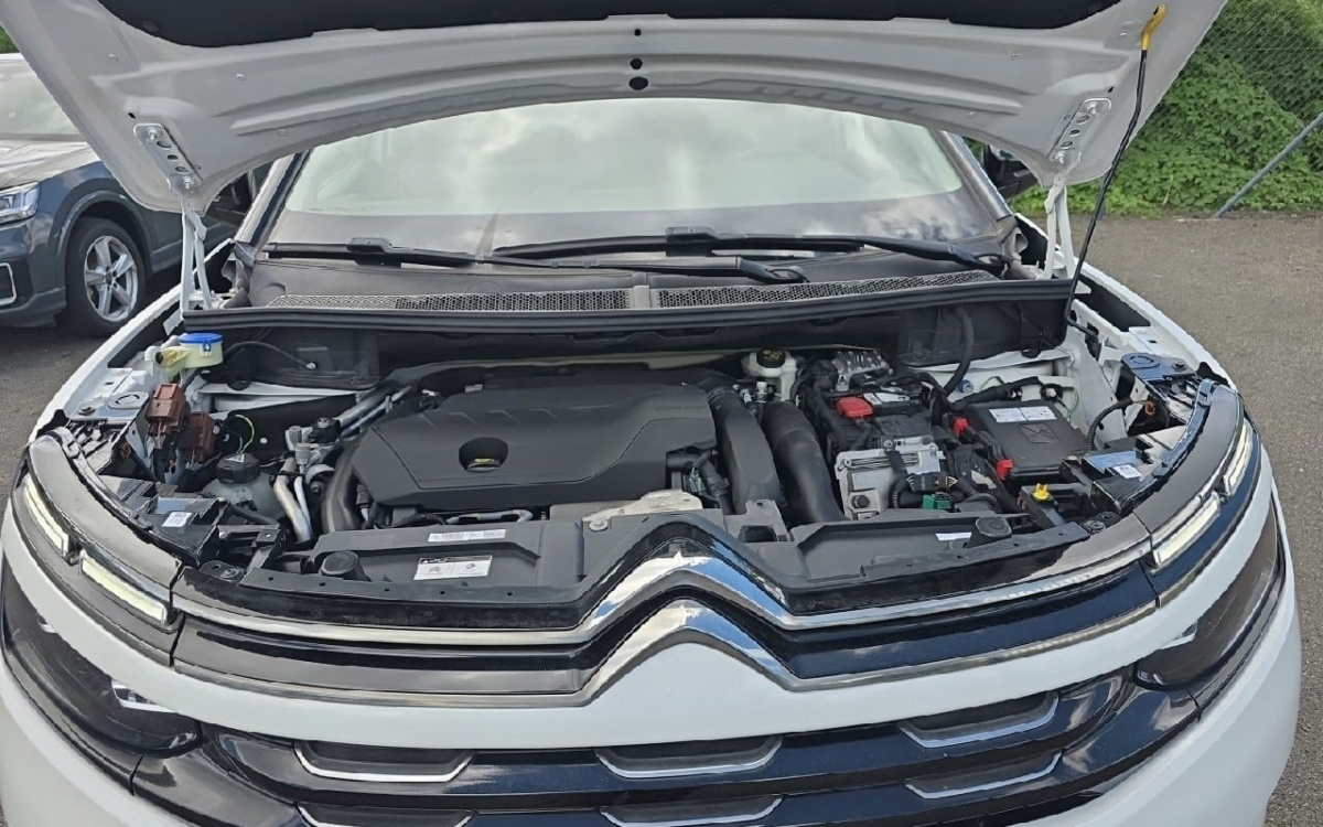 2cca486e-5bcc-4c0b-a2e5-076f9695fdf3.jpg