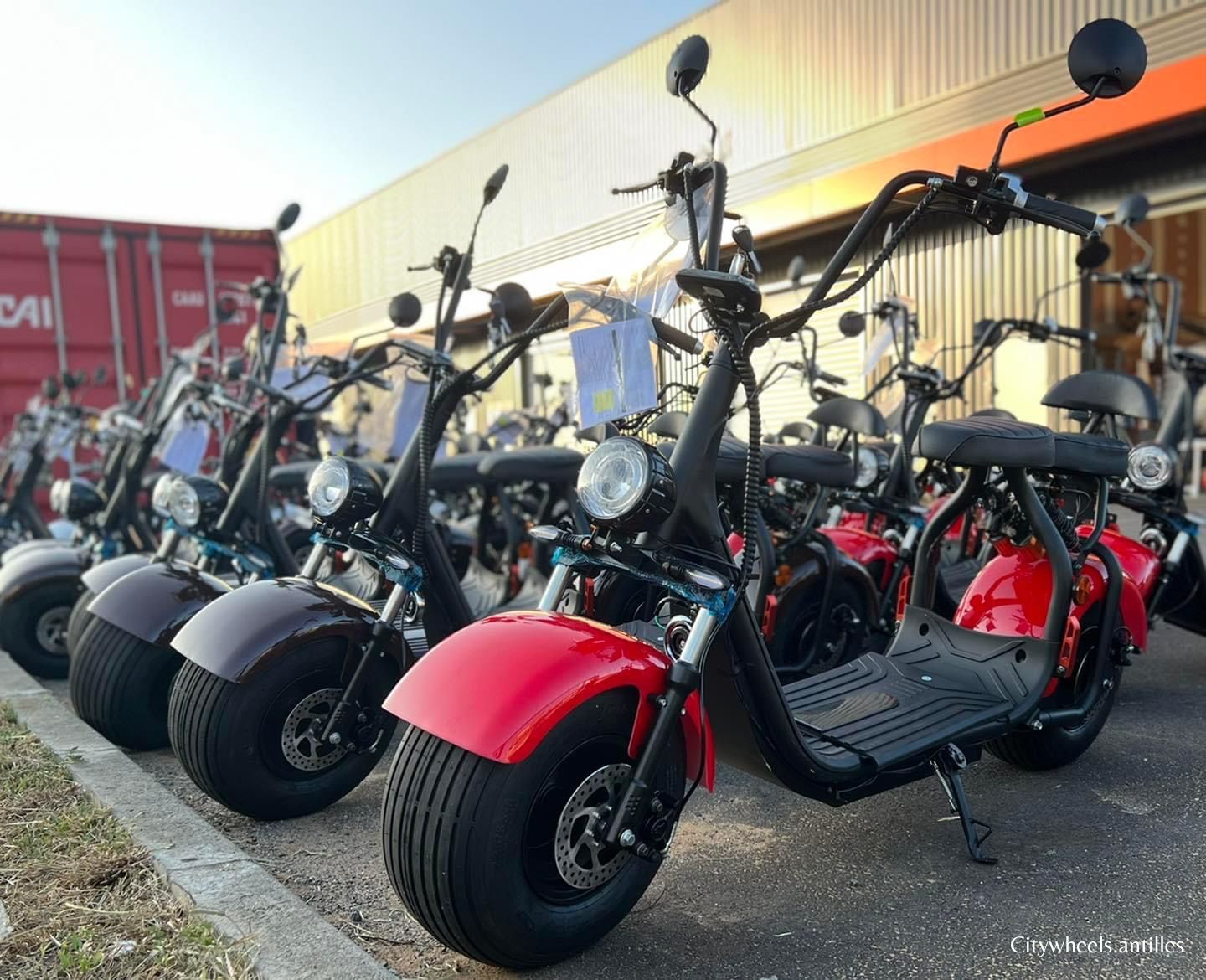Les citywheels ces deuxroues qui séduisent les Antilles ! Oovango