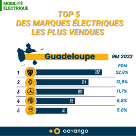 Top 5 des marques électriques les plus vendues en Guadeloupe