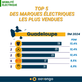 Top 5 des marques électriques les plus vendues en Guadeloupe