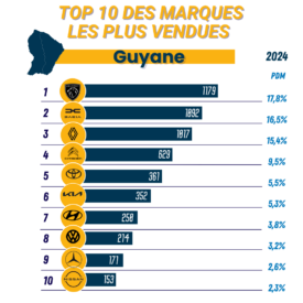 top 10 marques vendues 2024