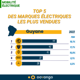 top 5 guy electrique 2022