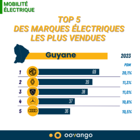 top 5 guy electrique 2023