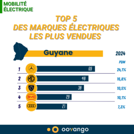 top 5 guy electrique 2024